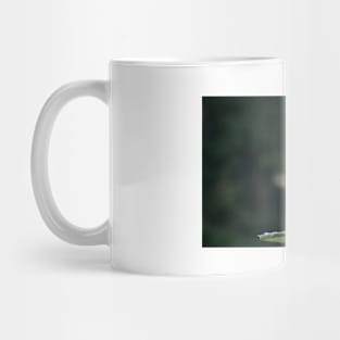 Falcon Mug